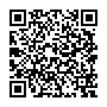 QR code for IBI4993