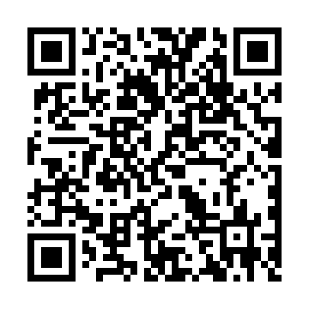 QR code for IBV063