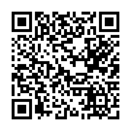 QR code for IBV325