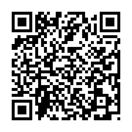 QR code for ICA2931