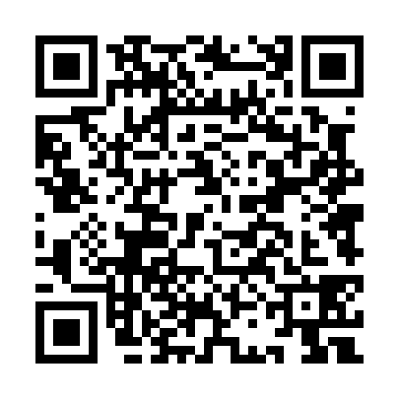 QR code for ICD0381