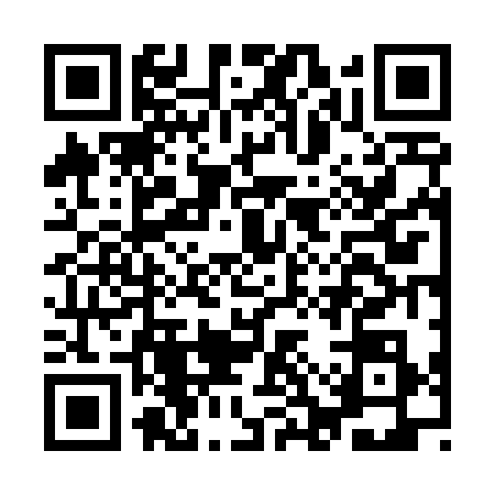 QR code for ICV4385