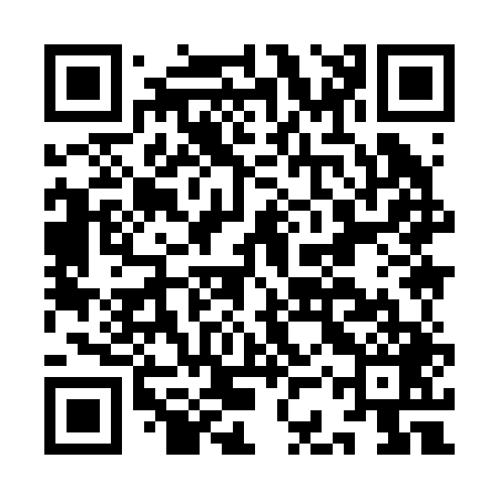 QR code for ICY249