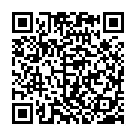 QR code for ICZ919