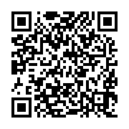 QR code for IDV993