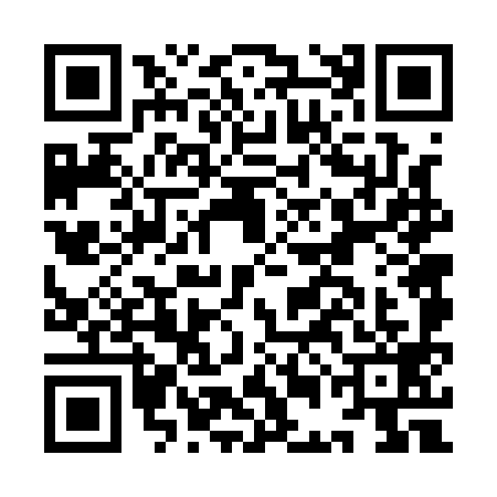 QR code for IEF1995