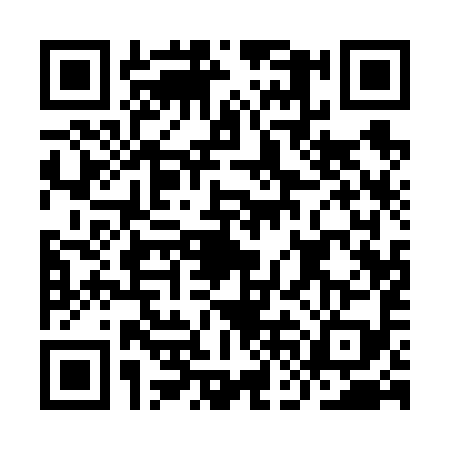 QR code for IFA6993