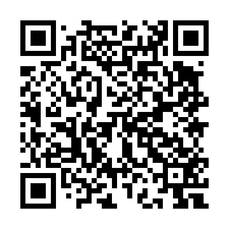 QR code for IFI453