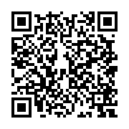 QR code for IFM0493