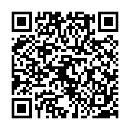 QR code for IFV0171
