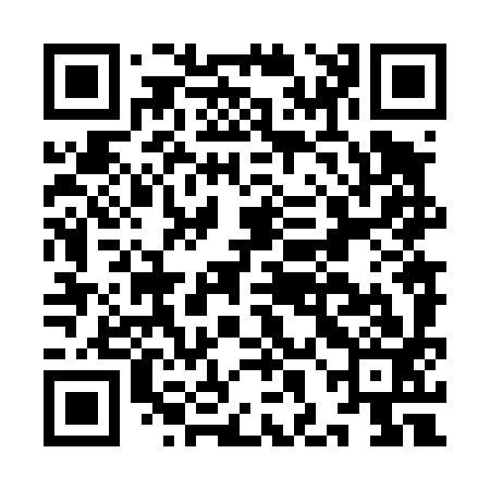 QR code for IHN493