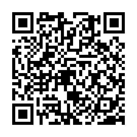 QR code for IIA1394