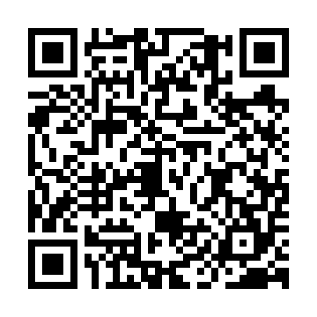 QR code for IIA6541