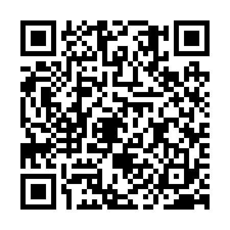 QR code for IIC2338