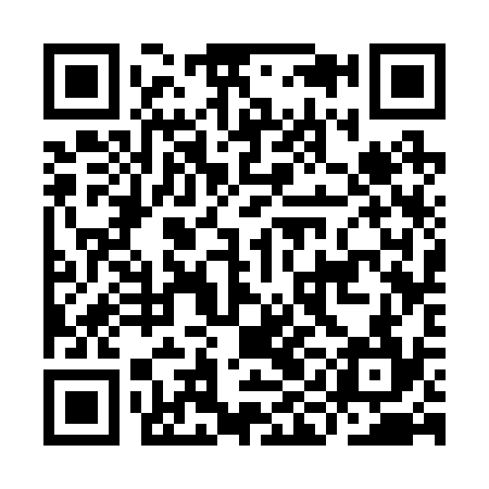 QR code for IIC234