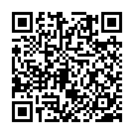 QR code for IIC2355