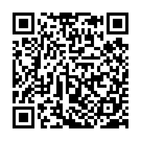 QR code for IIC655