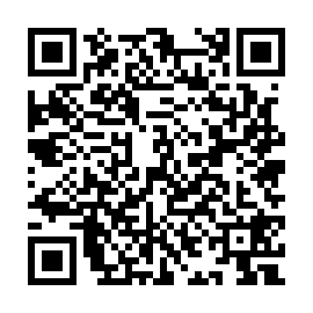 QR code for IIE1287