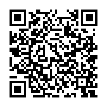 QR code for IIE3418