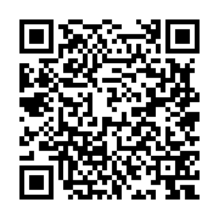 QR code for IIE8737