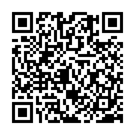 QR code for III8739
