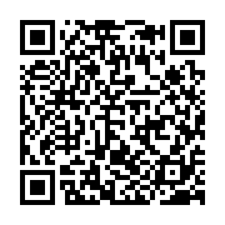 QR code for IIM310
