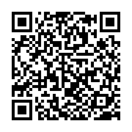 QR code for IIM369