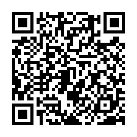 QR code for IIM4951