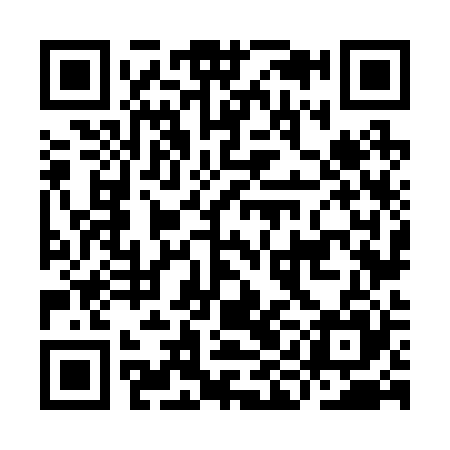 QR code for IIN225