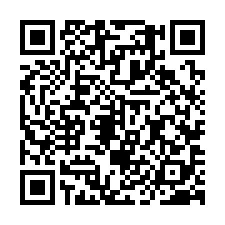 QR code for IIN3982