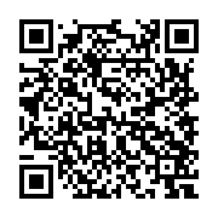QR code for IIN943