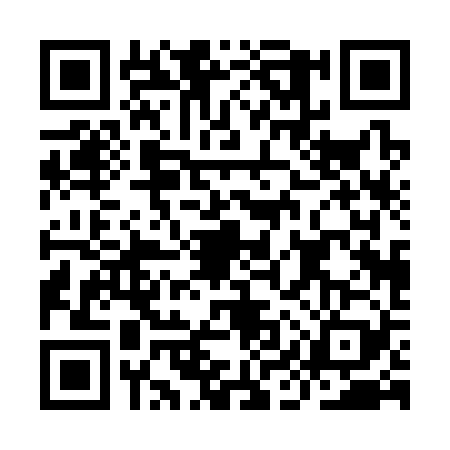 QR code for IIP3295