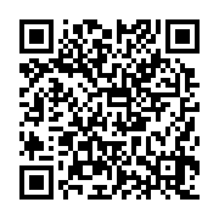 QR code for IIP337