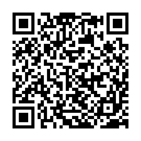 QR code for IIQ397