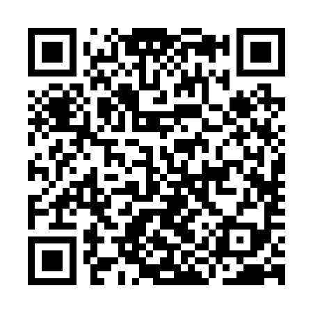 QR code for IIR299