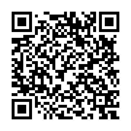 QR code for IIS833