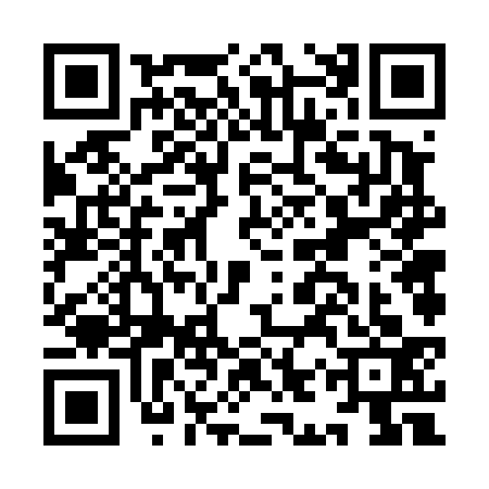 QR code for IIV4335