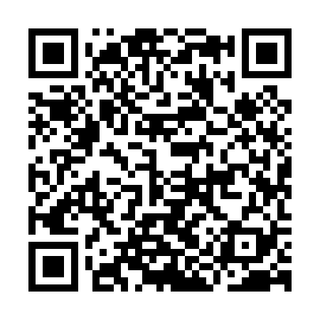 QR code for IIY029