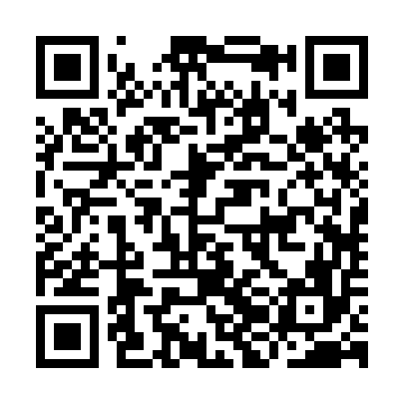 QR code for IJB256