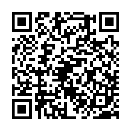 QR code for IJB3831