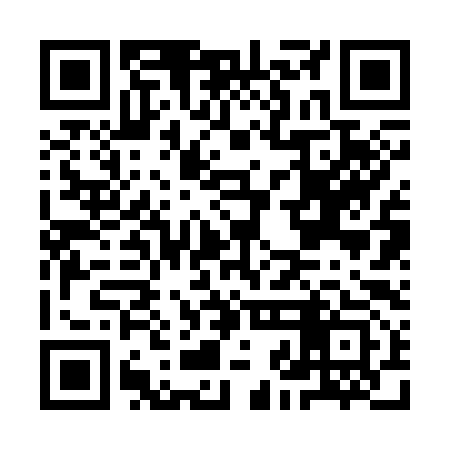QR code for IJB393