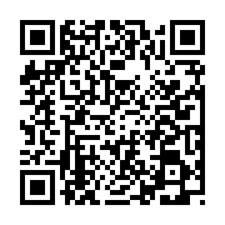 QR code for IJB8463