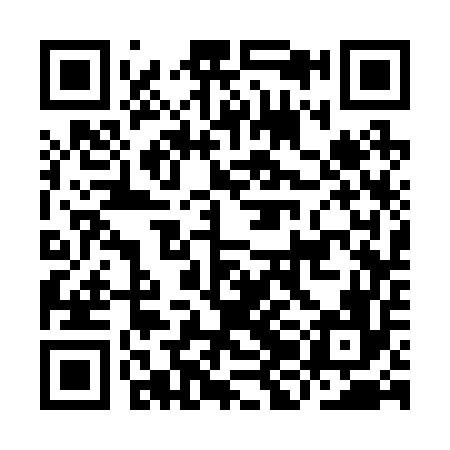 QR code for IJC256