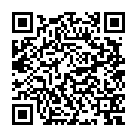 QR code for IJC4733