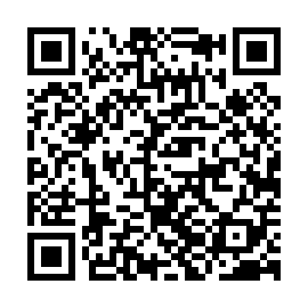 QR code for IJD009