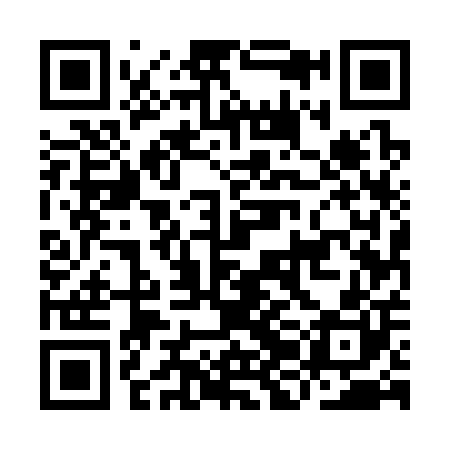 QR code for IJE300