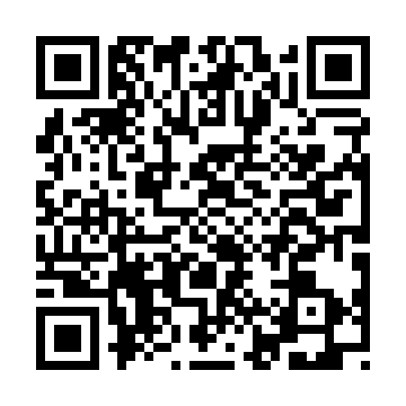 QR code for IJP0333