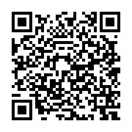 QR code for IJP0656