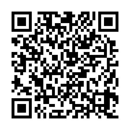 QR code for IJR339