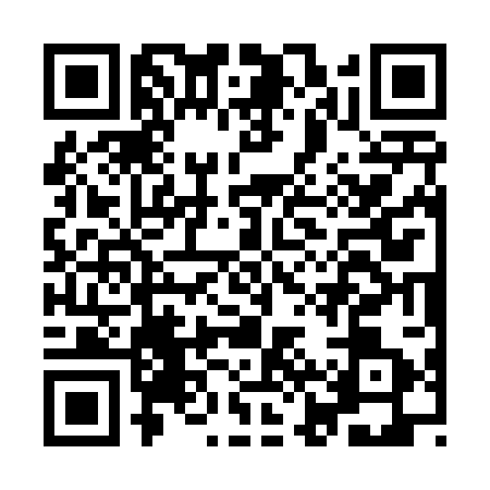 QR code for IJS4038